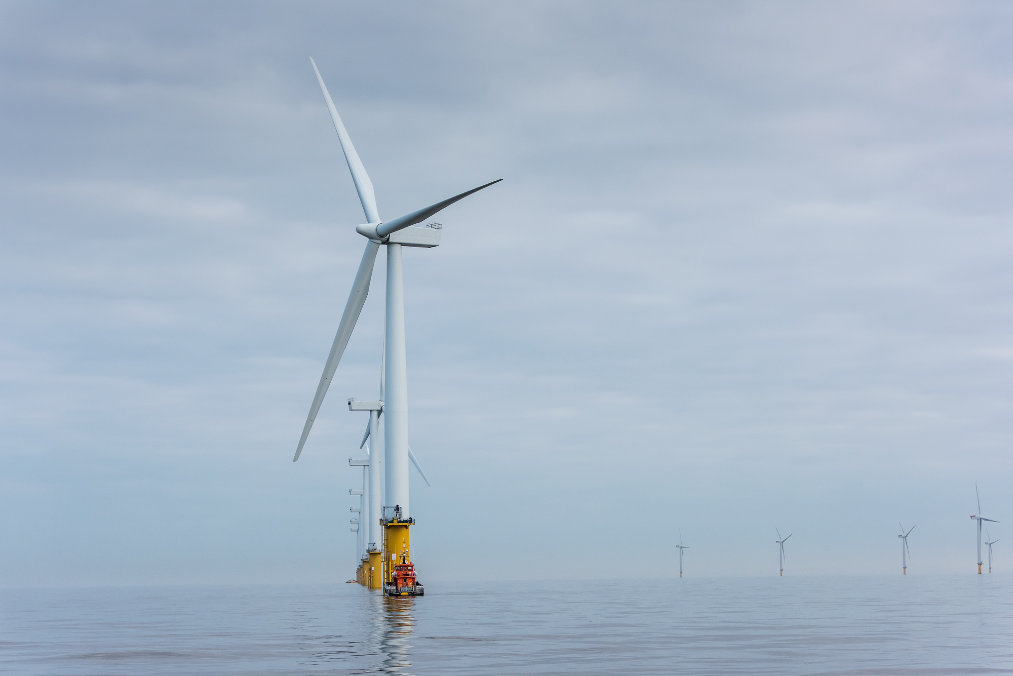 Texas Public Policy Foundation: The Environmental Impact of Offshore Wind