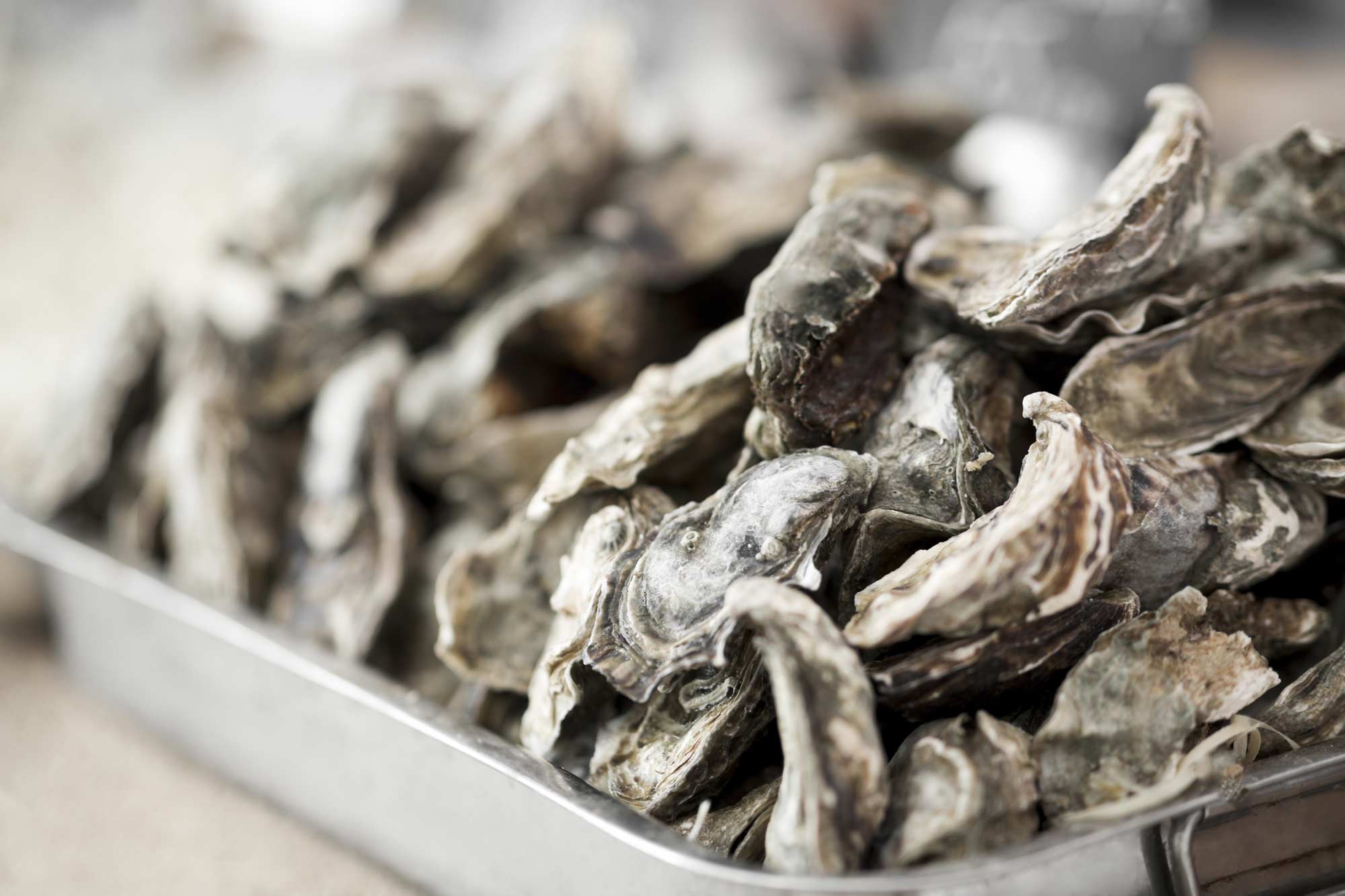 FishNews — NOAA Celebrating Oysters: Oyster Week 2022