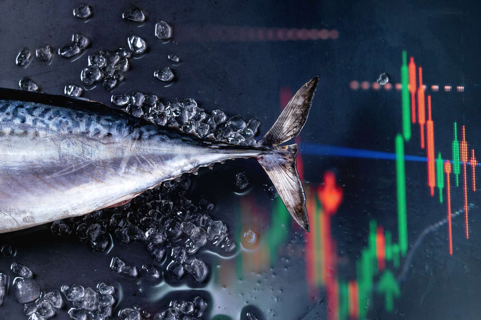 Clipper Oil: Global Tuna Alliance (GTA) Calls on WCPFC To Keep Tuna Stocks in the Green