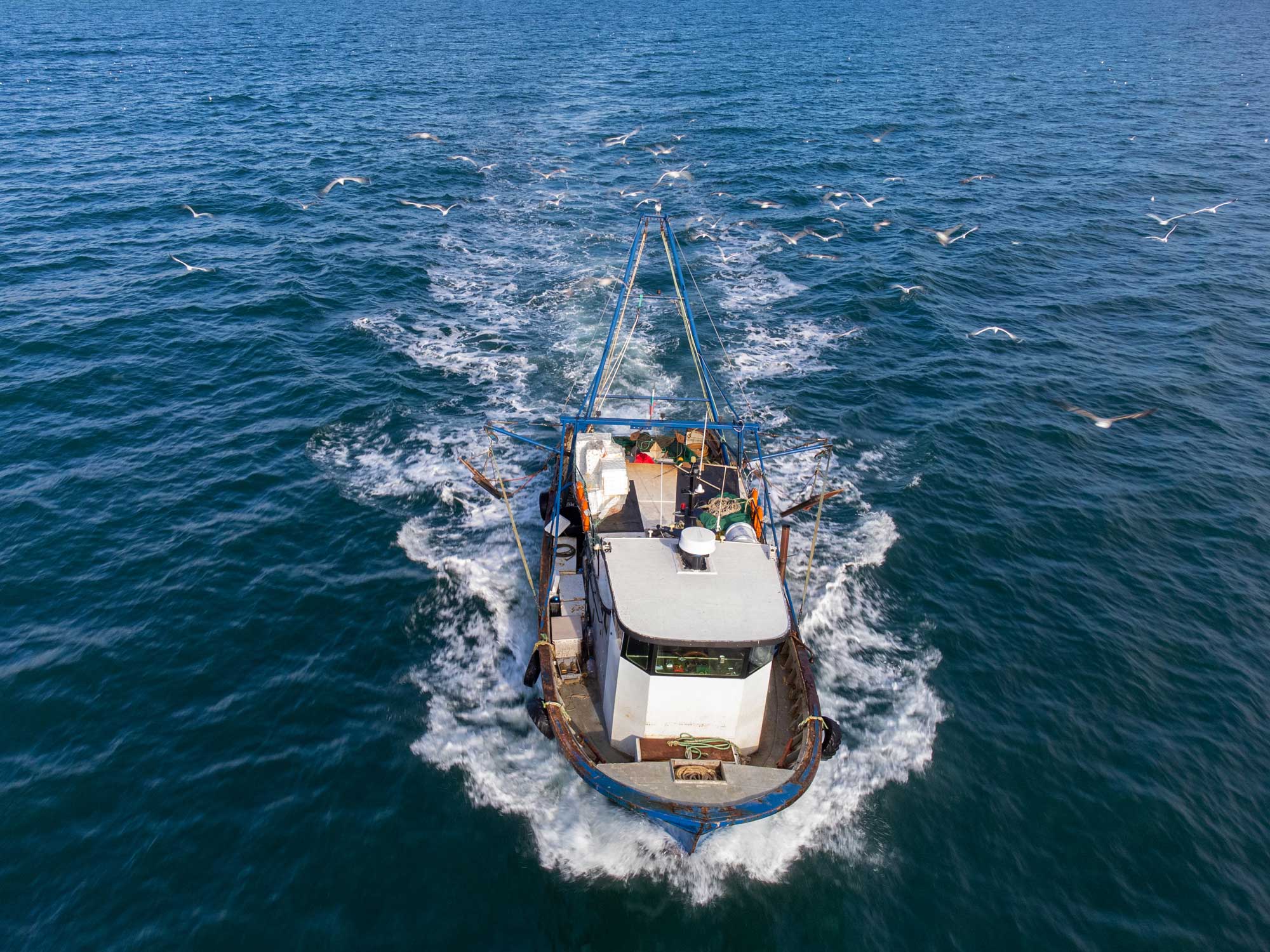 Clipper Oil: Latest Fishing News – Tuna Commission Adopts New Management Procedure for Skipjack