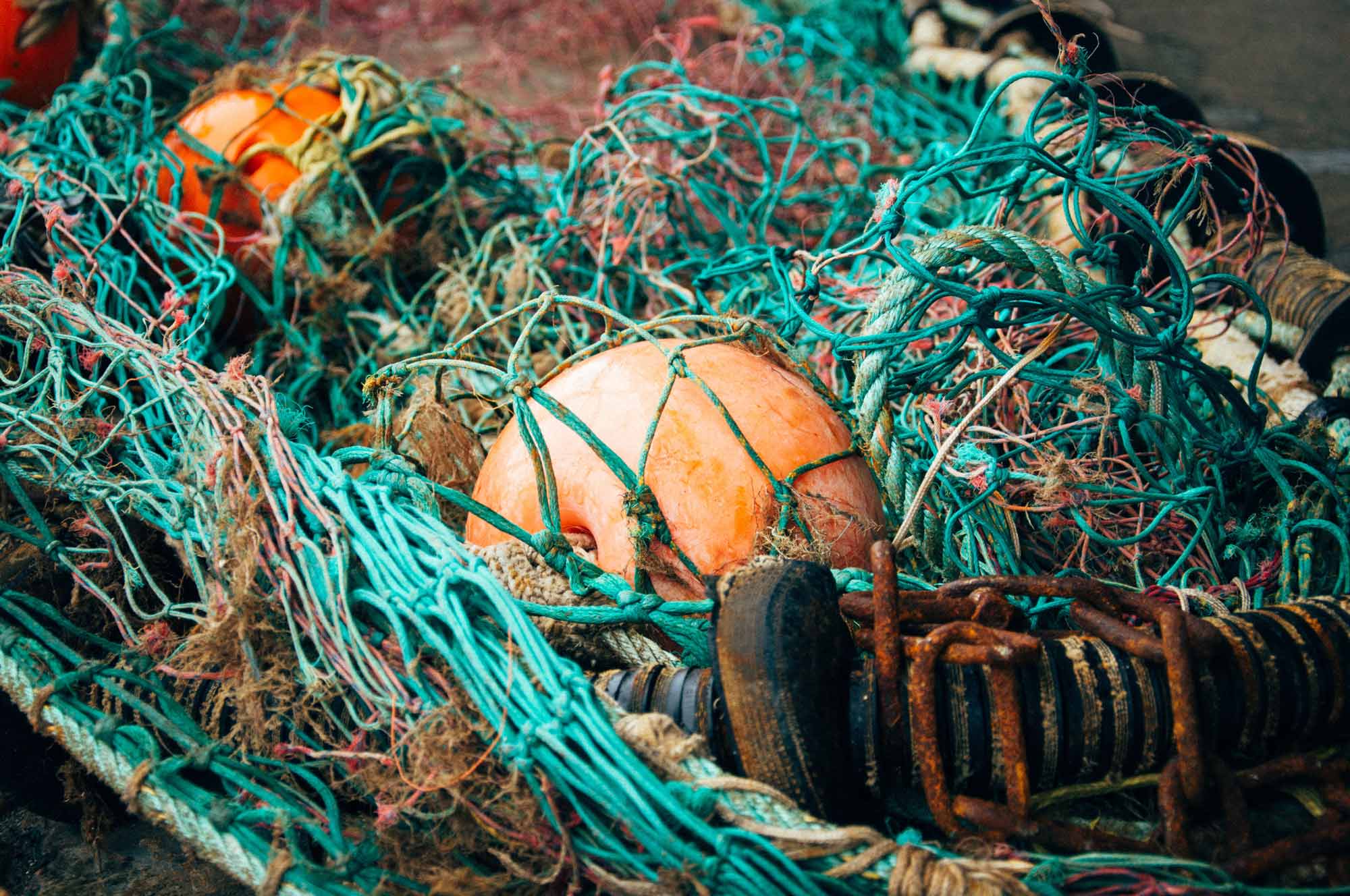 Clipper Oil: Latest Fishing News – ISSF Report Finds Majority of Tuna Stocks Don’t Meet Marine Stewardship Council Standards
