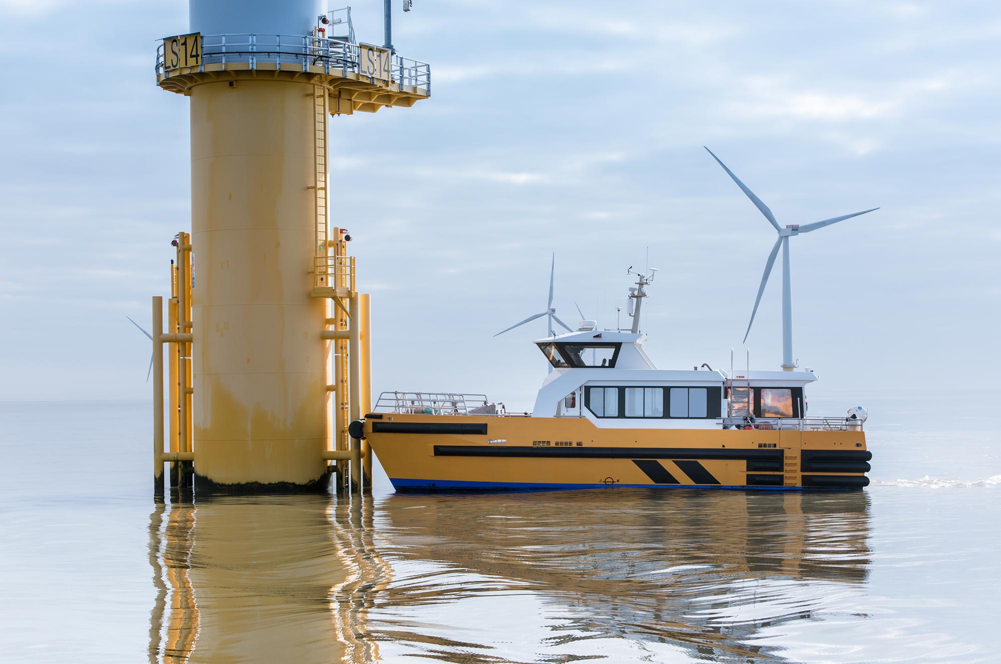 Hakai Magazine: For Baby Cod, Offshore Wind Turbines Offer an Alluring Tone